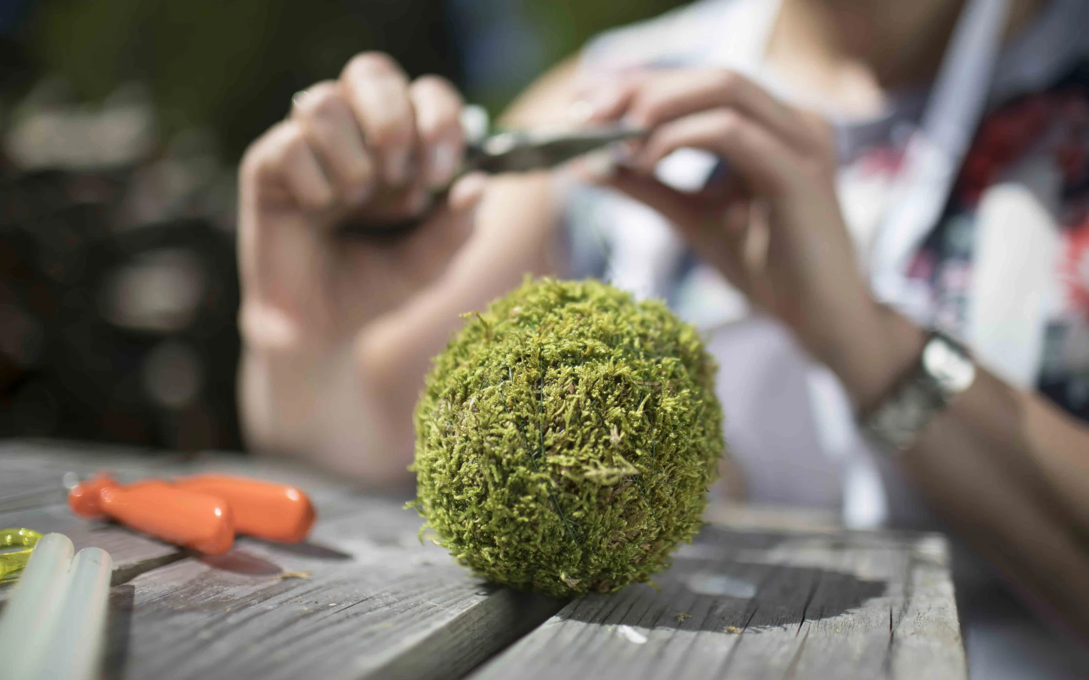 Bild3 Eichelkugel_JohannaLarcherarminhuber_2017 49.jpg